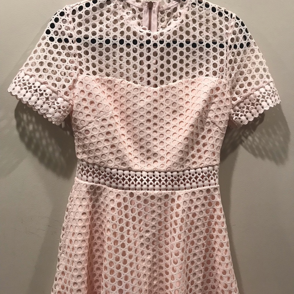 Ted Baker London Graycee Lace Skater Dress, Size 4 - Picture 3 of 6
